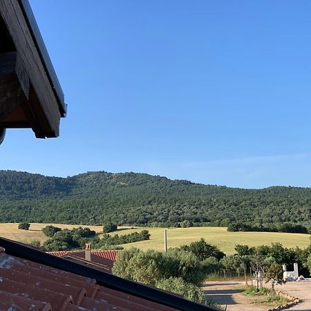 Il Poggio Di Musignano Villa Musignano  Buitenkant foto