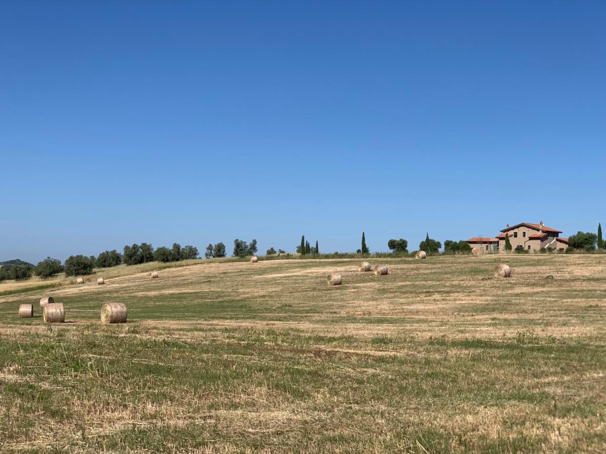 Il Poggio Di Musignano Villa Musignano  Buitenkant foto
