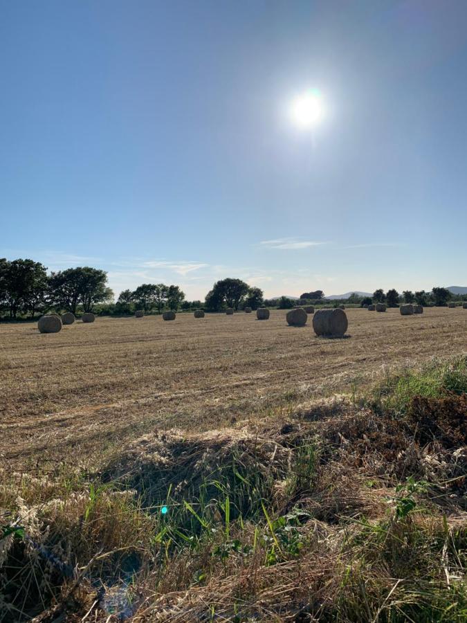 Il Poggio Di Musignano Villa Musignano  Buitenkant foto
