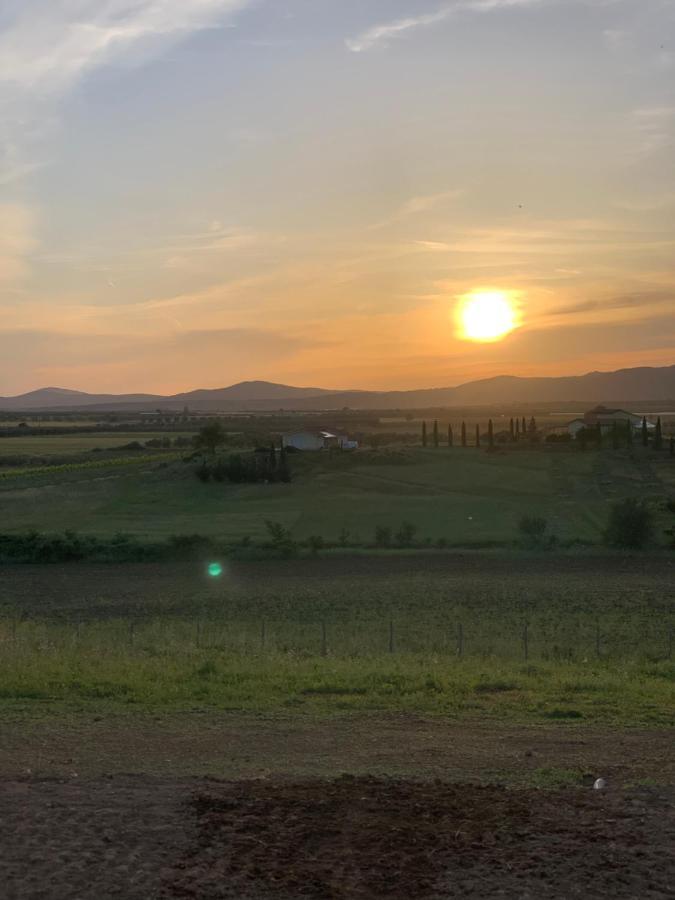 Il Poggio Di Musignano Villa Musignano  Buitenkant foto