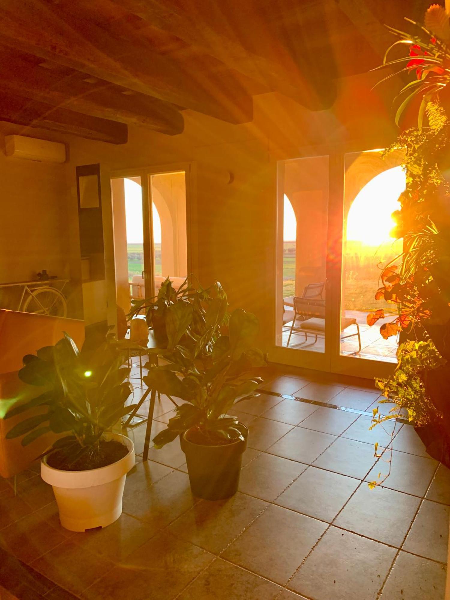 Il Poggio Di Musignano Villa Musignano  Buitenkant foto
